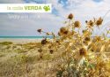 La Colla Verda organiza una nueva campaña de voluntariado en las playas de Sagunto